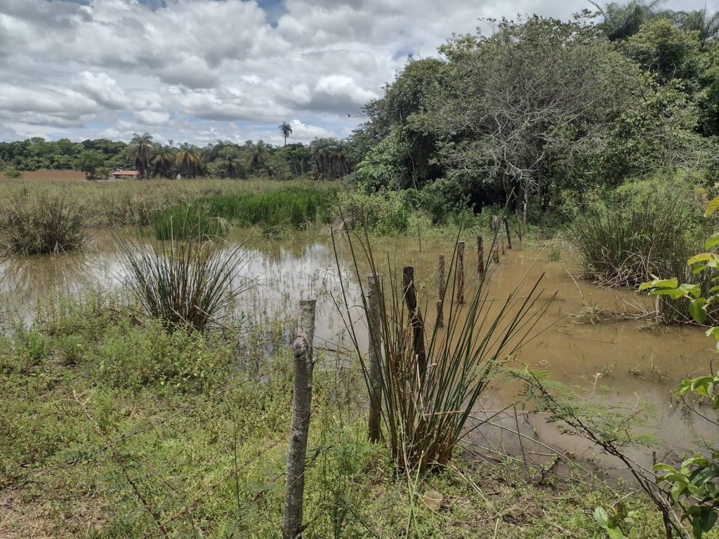 TERRENO COMERCIAL BAIRRO LAPINHA